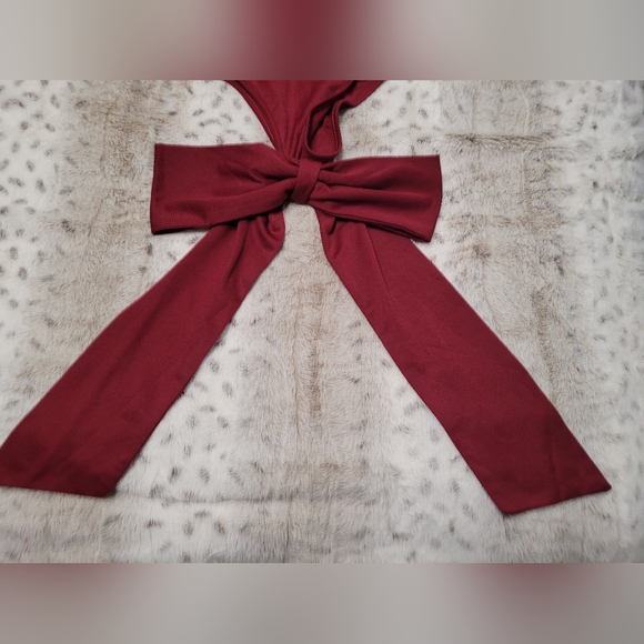 NWOT Knotted Sexy, Sleevless V Neck Dress. Burgundy Size Small. - Picture 7 of 15